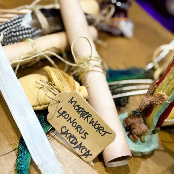 Magic Box For the Novice Witch - Picture 13 of 16